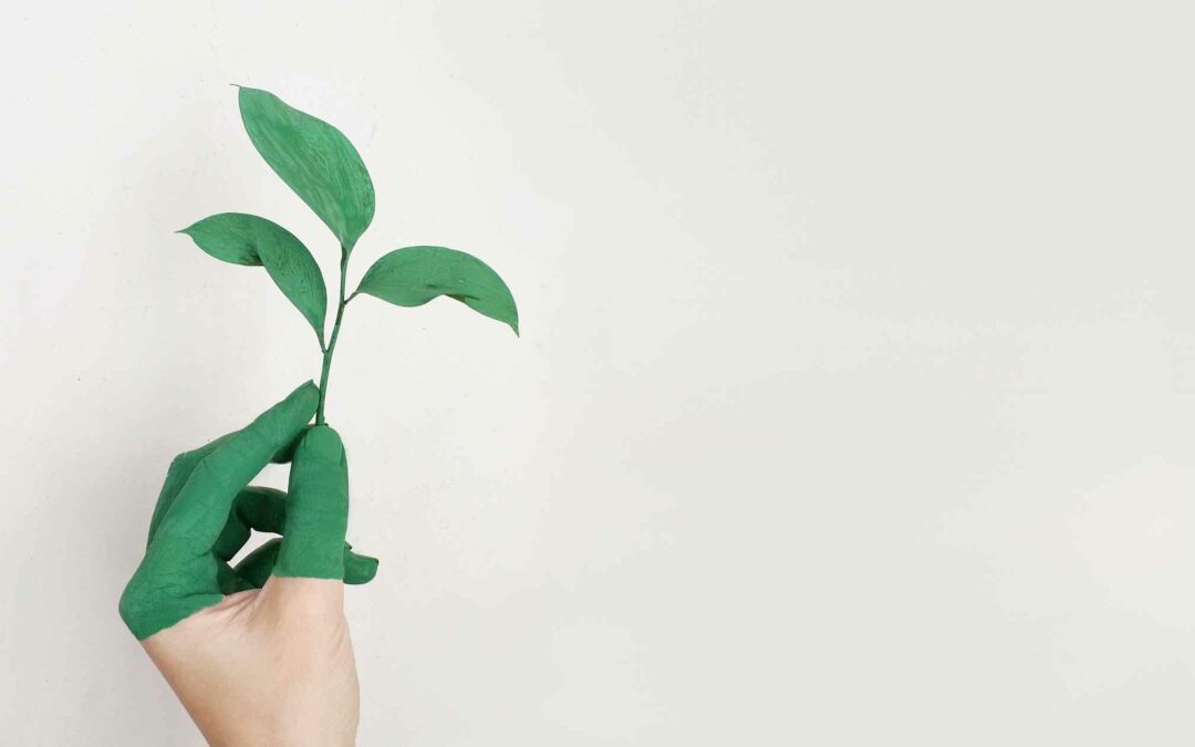 green marketing blog image