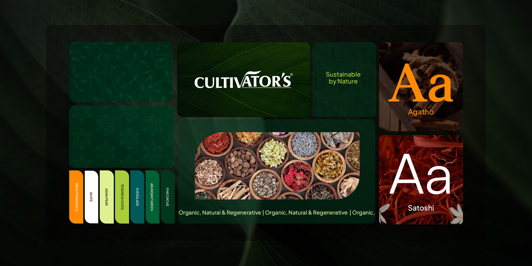 cultivator ayurvedic products branding