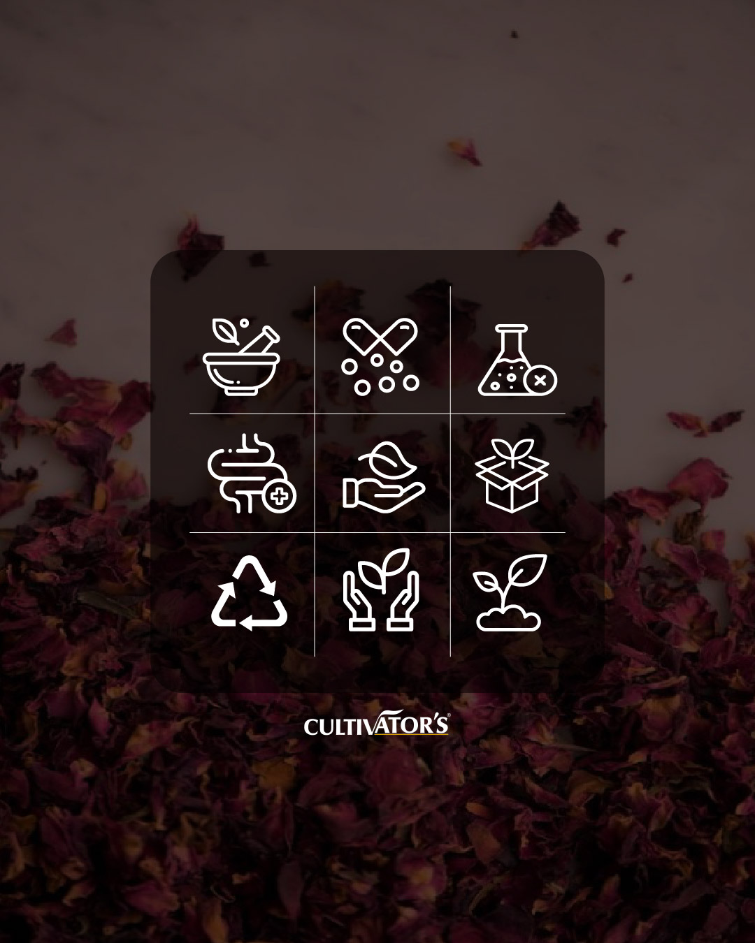 cultivator ayurvedic products branding