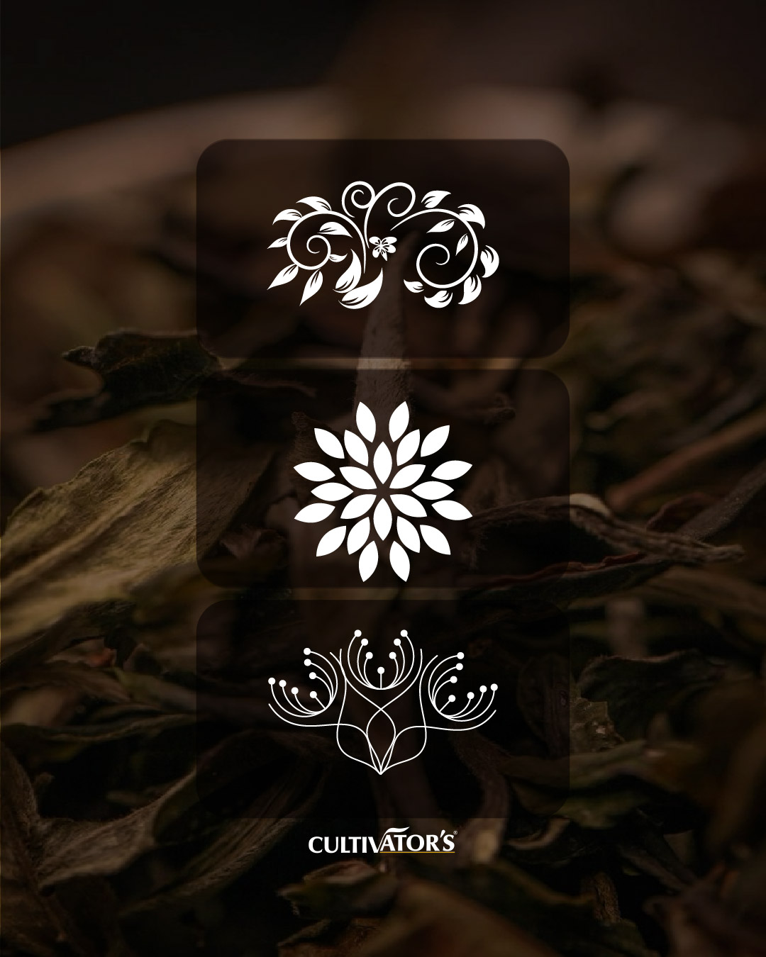 cultivator ayurvedic products branding