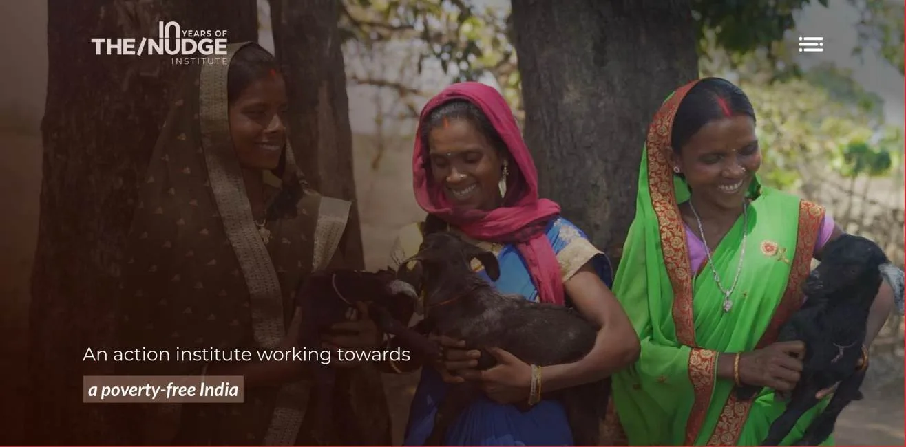 Nudge website development